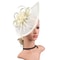 Kentucky Derby Sinamay Fascinator Hat for Women, Tea Party Teardrop Pillbox Hat, Elegant Headband for Cocktail, Wedding