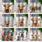 Highland Cow Tumbler Wrap Bundle 20oz Skinny & Straight Tumbler Highland Cow PNG Sublimation Design Digital Download Western5.jpg