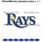 Rays-Wordmark-Logo-Embroidery-Design-Digital-Download-Files-EM13042024TMLBLE346.png