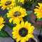 Solar Powered Sunflower Garden Stake Lights - 3.jpg