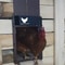 poultryfarmautomaticchickenhousedoor3.jpg