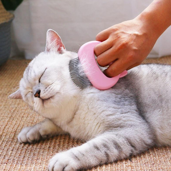 petmassagingshellcomb4.png