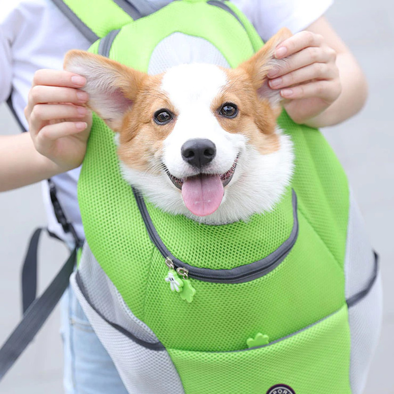 dogbackpack3.png