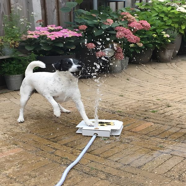 dogwaterfountain2.png
