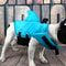 sharkdogsafetylifejacket3.png