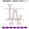 LA-Logo-Embroidery-Download,-LA-MLB-Embroidery-Design-EM13042024TMLBLE193.png