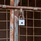 smartfingerprintpadlock2.png