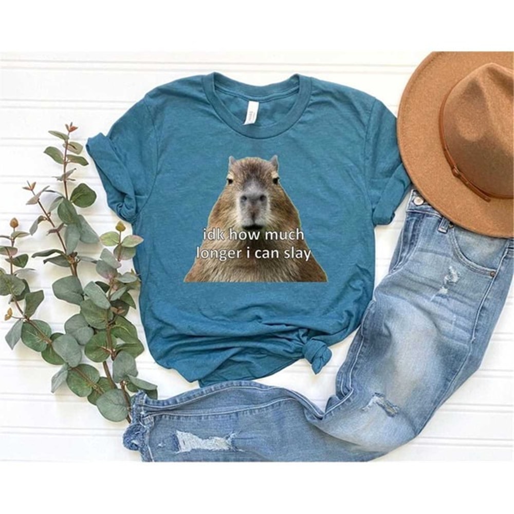 Capybara Gift Shirt For Men Or Women Birthday Gift Idk How Much Longer I Can Slay, Unisex T-Shirt