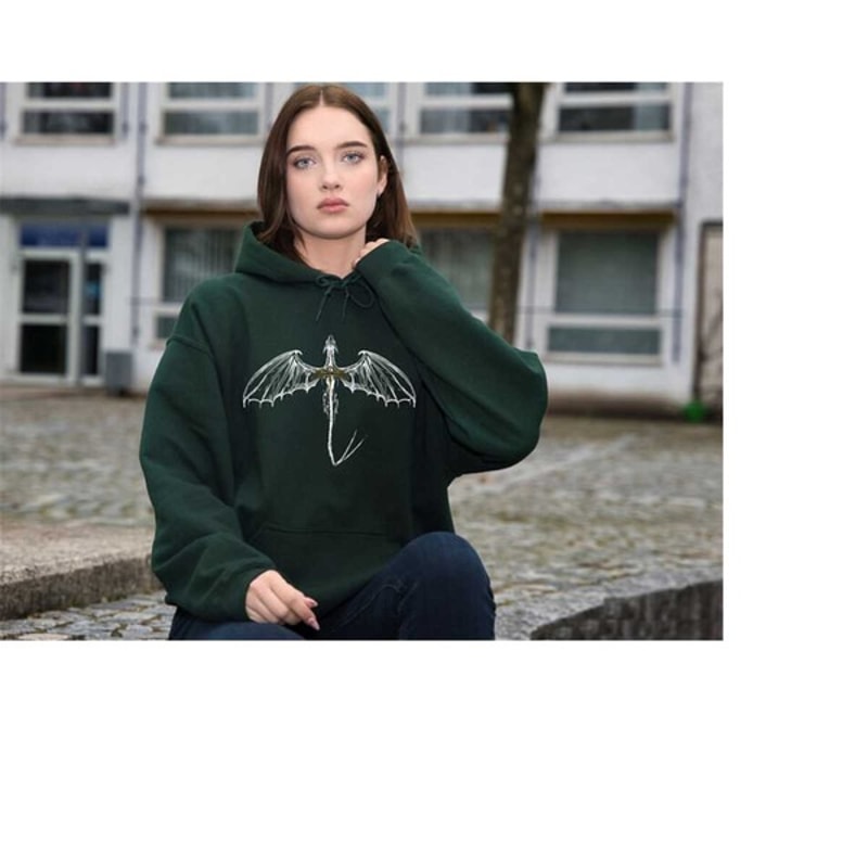 Rebecca Yarros Hoodie, The Empyrean Series Hoodie, Fourth Wing Sweatshirt, Unisex Sweatshirt, Hoodie