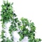 artificialivyleafplantgarland5.png