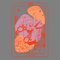 IYKYK-Lesbian-Sapphic-Tarot-Card-SVG-Digital-Download-Files-0806241049.png
