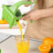 handsqueezerjuicer4.png