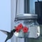 hummingbirdfeederplasticflowerbirdfeeder3.png