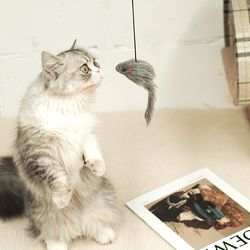 Interactive Hanging Mouse Cat Toy