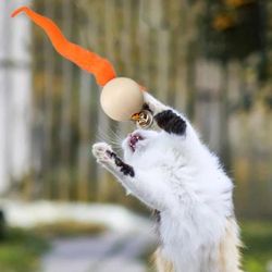 Wiggly Ball Cat Bell Toy
