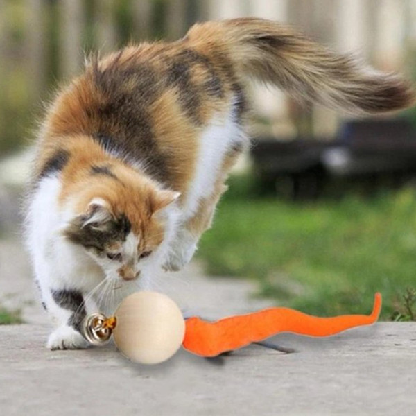 wigglyballcatbelltoy2.png