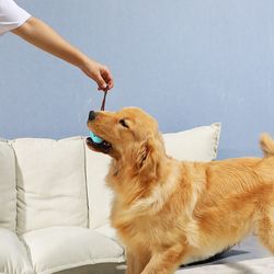 Dog Chew Cleaner