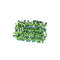 Retractable Garden Fence Green Rose Leaves