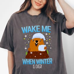cute sleepy groundhog wake me when winter is over shirt, animal lover shirt, woodchuck shirt, marmots shirt