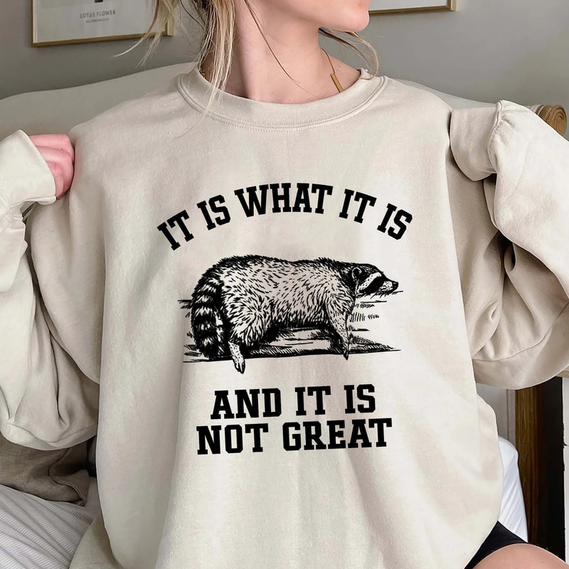 It Is What It Is And It Is Not Great Sweatshirt, Raccoon Sweatshirt, Mental Health Sweatshirt, Funny Sweatshirt Women, Trending Unisex Tee.jpg