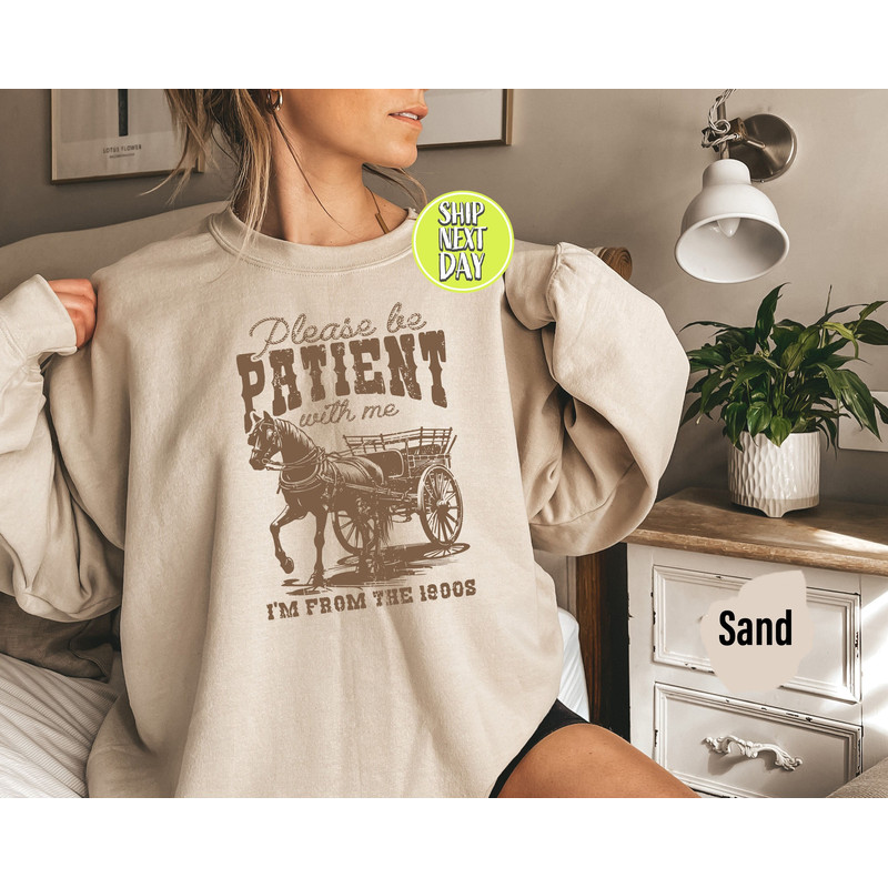 Please Be Patient With Me Im From The 1900s Sweatshirt, Western Horse Hoodies, Retro Birthday Women Sweatshirt, Born In 1900s Shirts - TC133.jpg