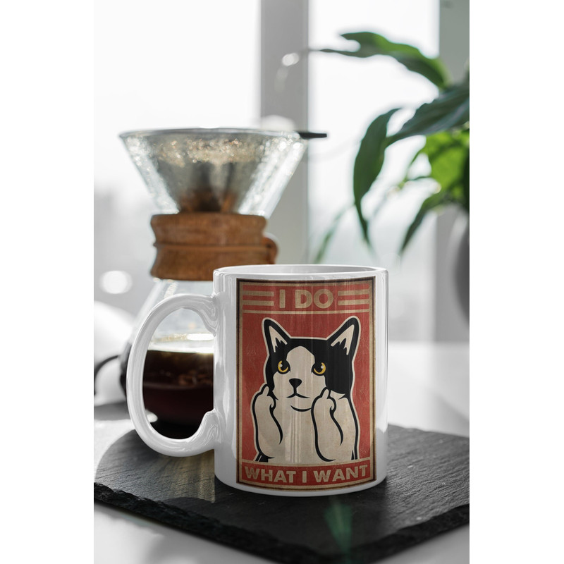 I Do What I Want To Do 11 oz Ceramic Mug Gift Birthday Gift.jpg