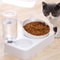 dogcatfeedingdoublebowl1.png