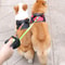 2 Dog Retractable Leash Retractable Leash for Two Dogs
