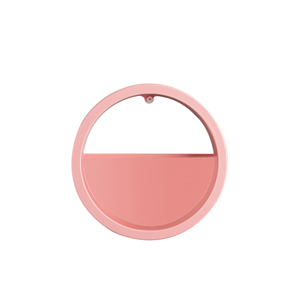 orbicularwallplantvase pink