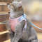 cat jacket harness