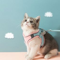 Luminous Escape-Proof Cat Vest - Harness and Leash Set
