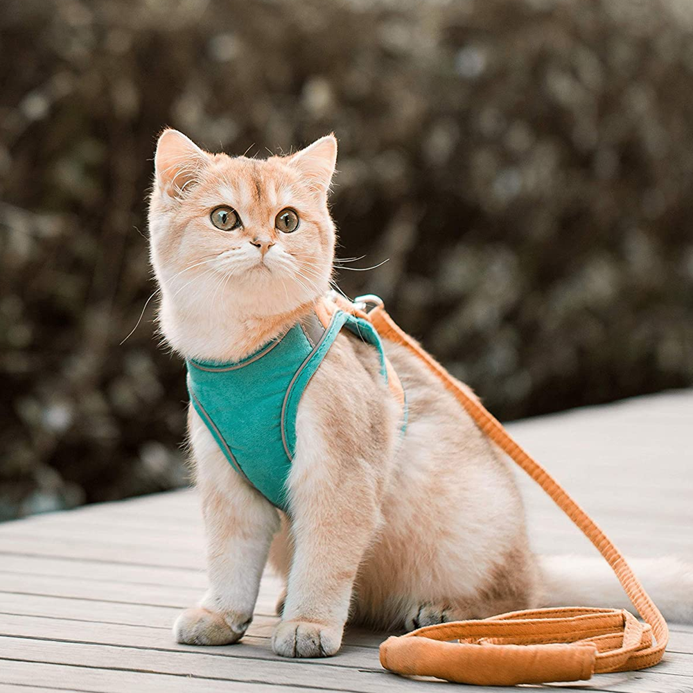 Luminous EscapeProof Cat Vest Harness and Leash Set  Glow in the Dark Comfortable  Safe for Cats