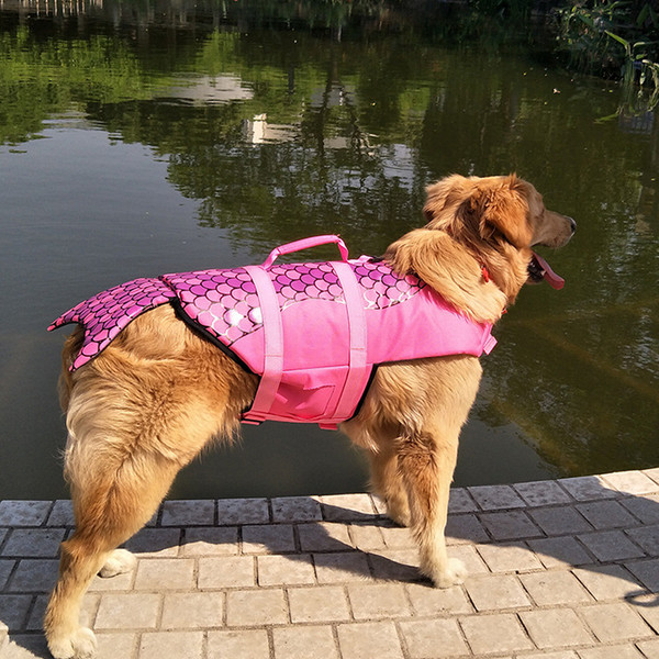 doglifejacket2.png