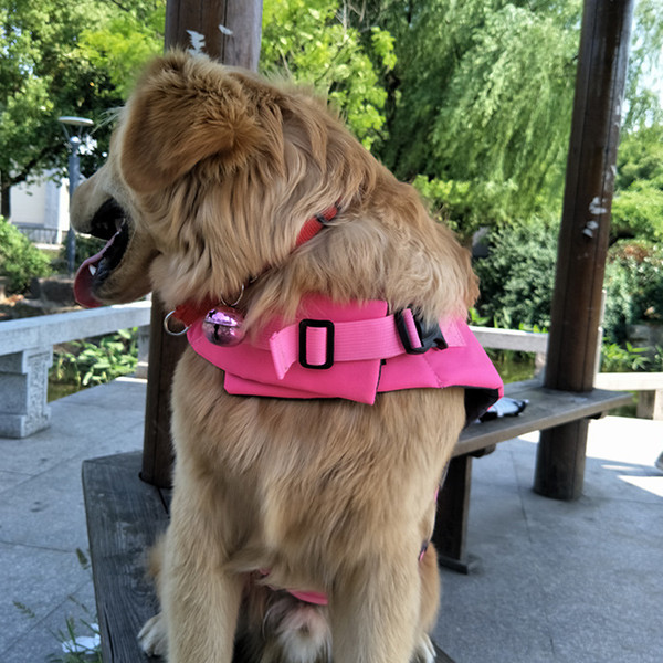 doglifejacket7.png