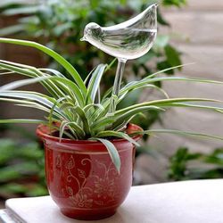 self-watering plant glass bird bulbs