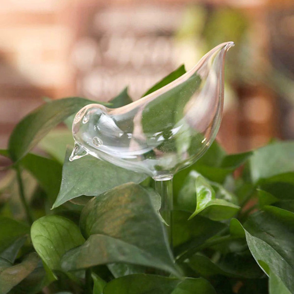 selfwateringplantglassbirdbulbs3.png