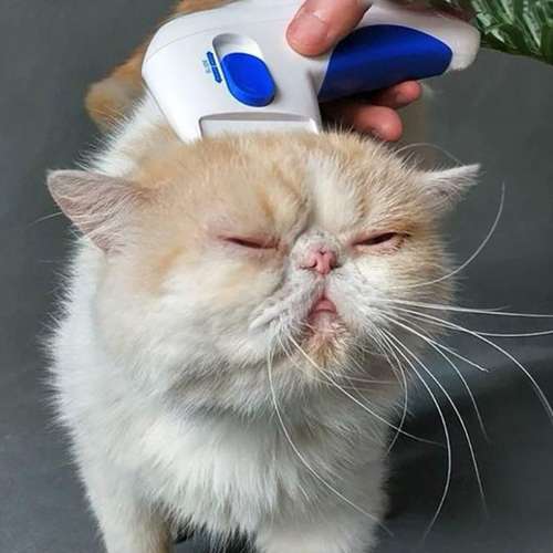 Electric Pet Comb – Effective Flea and Lice Remover for Long & Short-Haired Pets, Gift for Pet Lovers