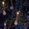 Magical Forest String Lights 2