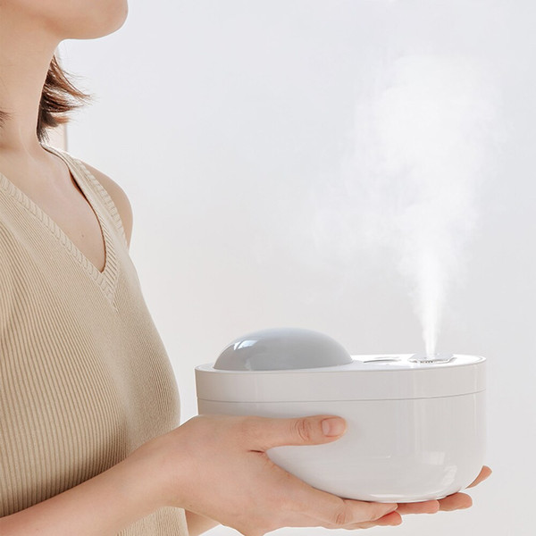 doublesprayprojectionhumidifier2.png