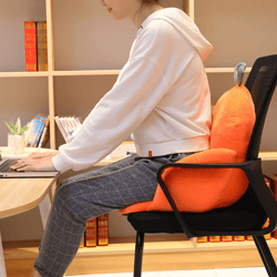 Sedentary Backrest Cushion