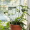 plantlifesupportdripautomaticwateringsystem2.png