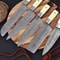 Kitchen Knives with Camel Bones reviewjpg