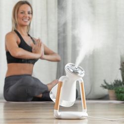 Wireless Phone Charger & Fog / Mist Humidifier
