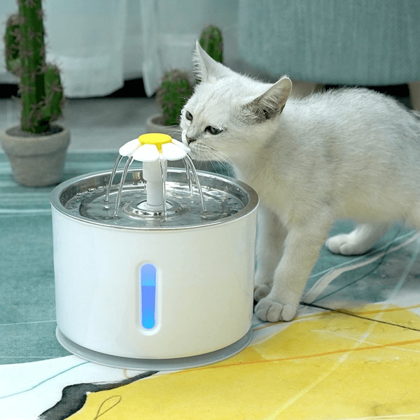 catwaterfountain3.png