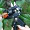 professionalgraftingandpruningtool2.png
