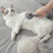 petcombselfcleaningbrushprofessionaldogandcatgroomingbrushpink.png