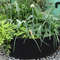 gardenraisedplantingbed3.png