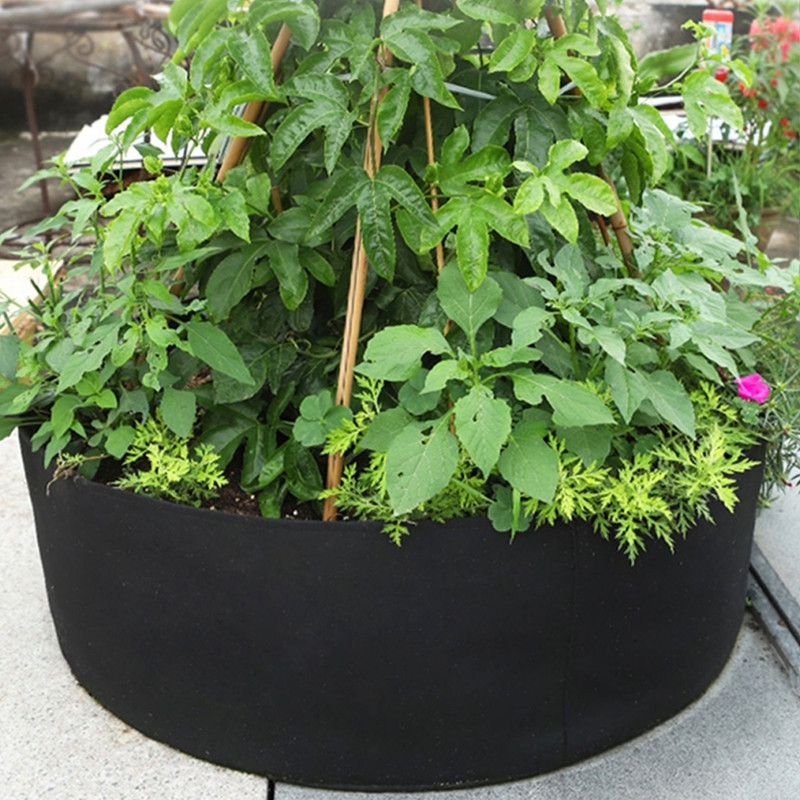 gardenraisedplantingbed4.png