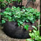 gardenraisedplantingbed5.png