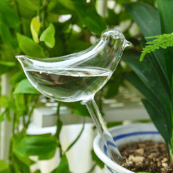 self-watering plant glass bulbs